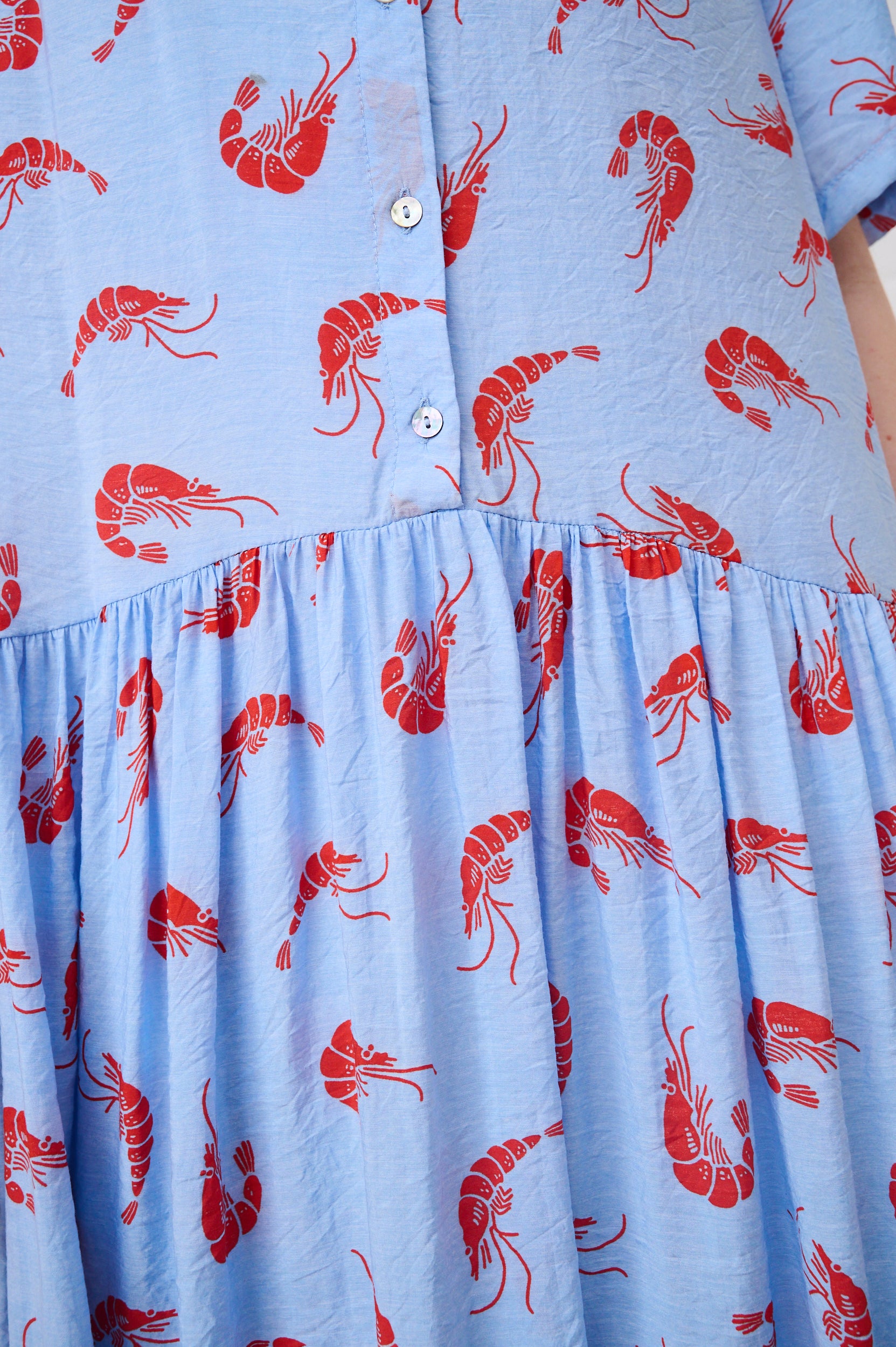 The Dropped Waist Shirtdress in Prawn Print