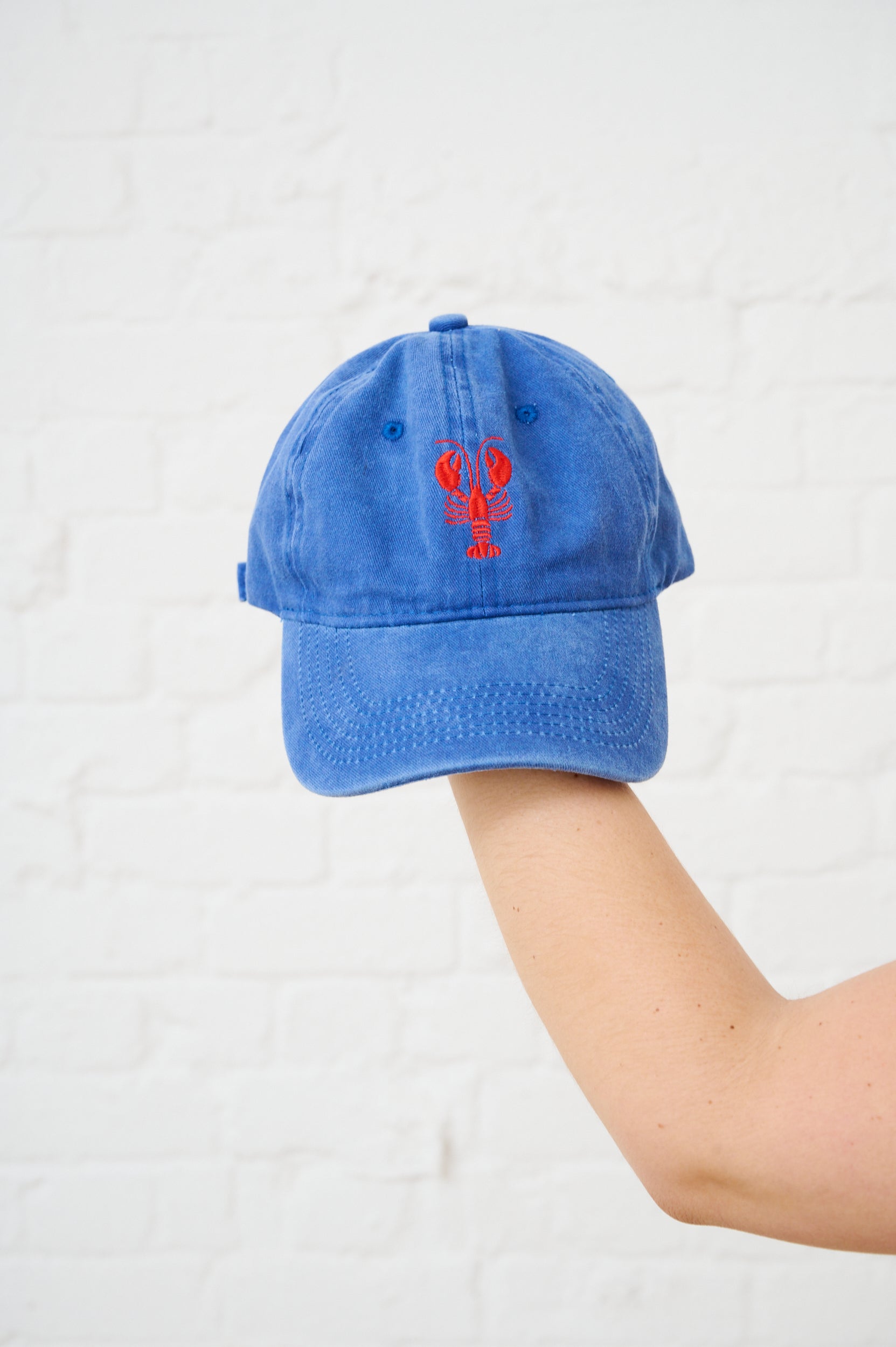 Lobster Embroidery Cobalt Cap