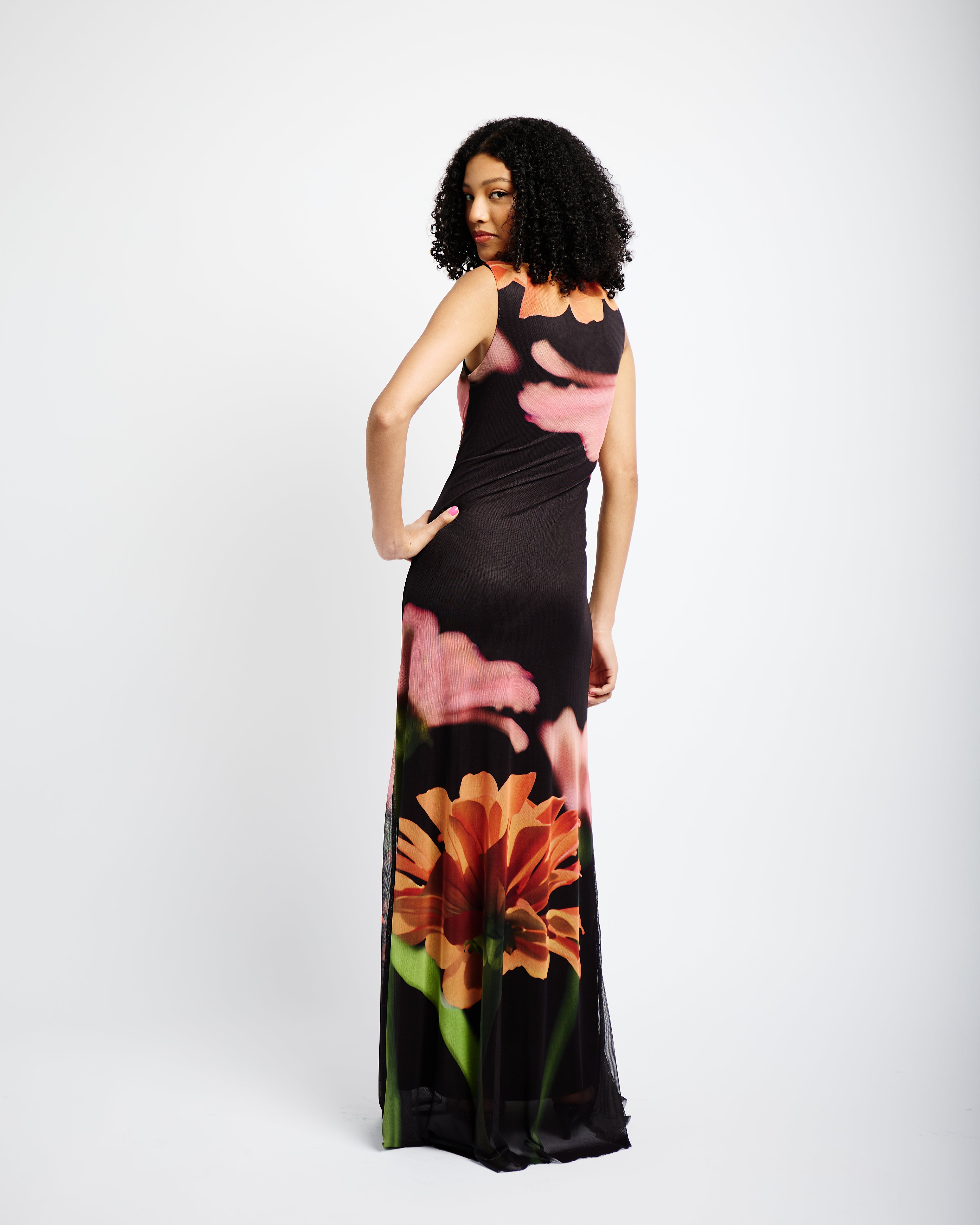 Sleeveless Mesh Dress in Sunset Flower