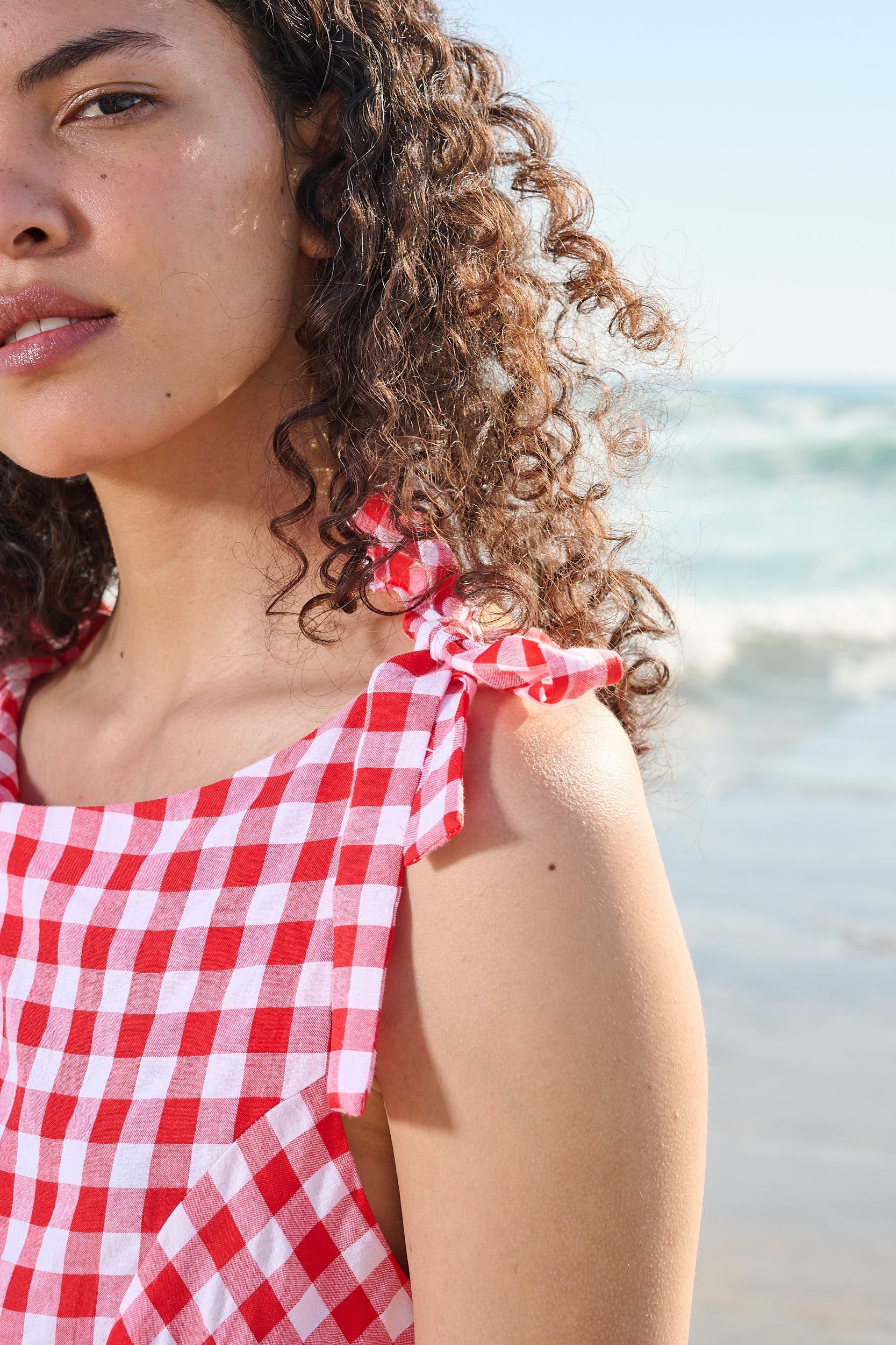 Pie Crust Dress in Red Gingham