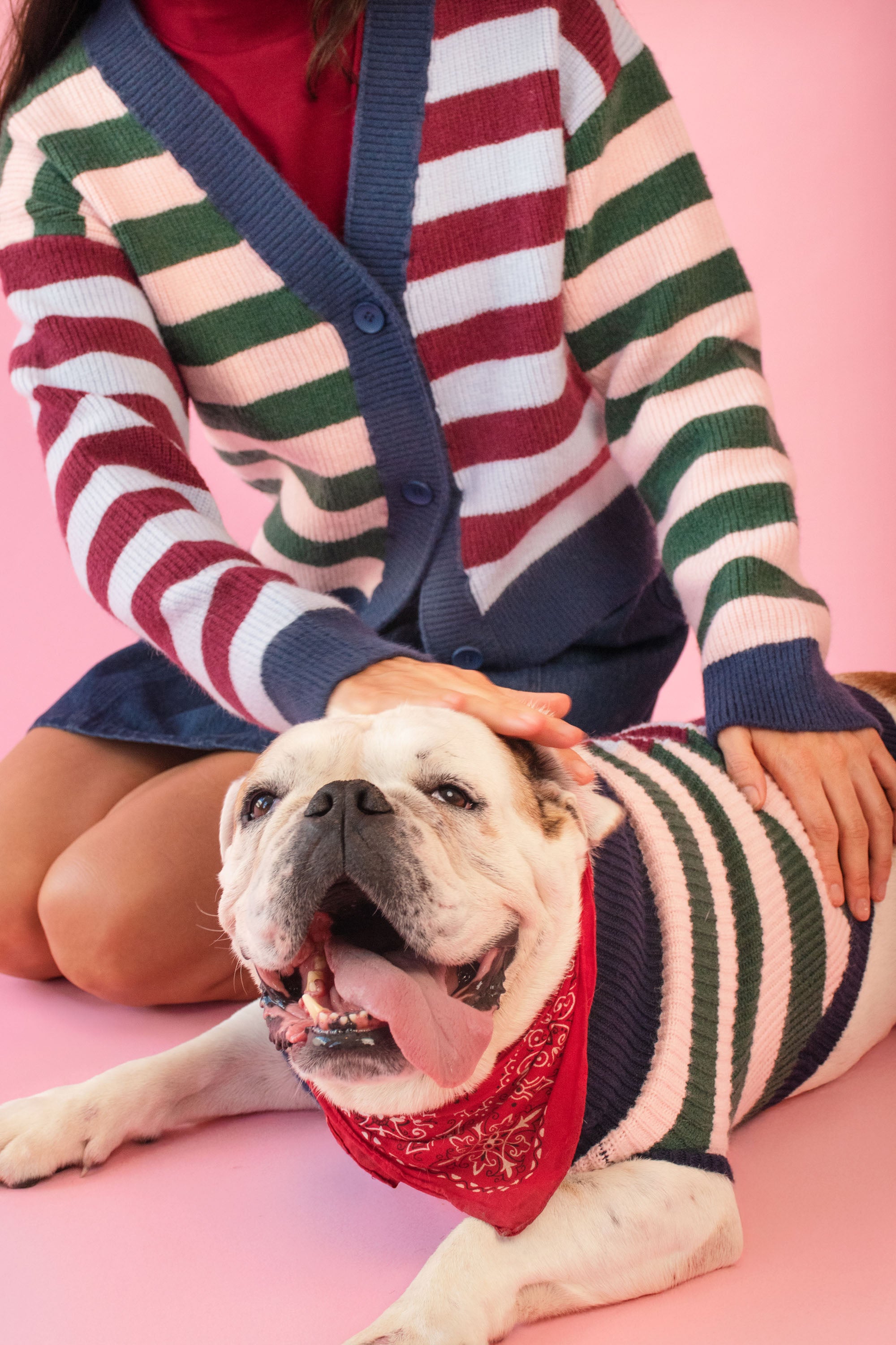 Dog Jumper in stripe