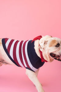 Dog Jumper in stripe