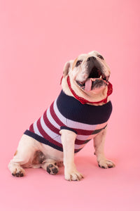 Dog Jumper in stripe