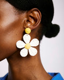 The White Daisy